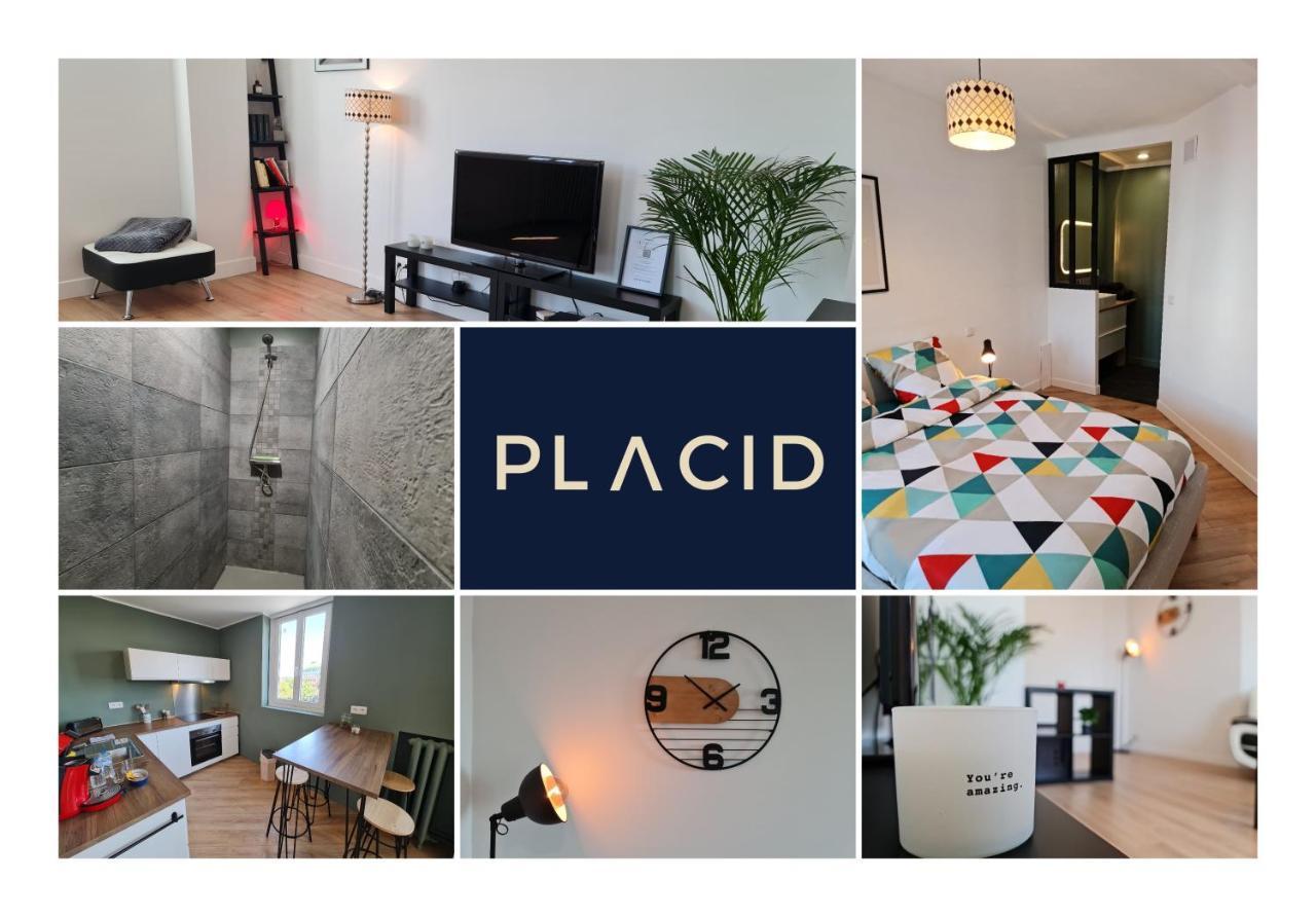 Le Scottmanhouse - Appartement Prive - Centre Ville - Gare - Wi-Fi Arras Ngoại thất bức ảnh